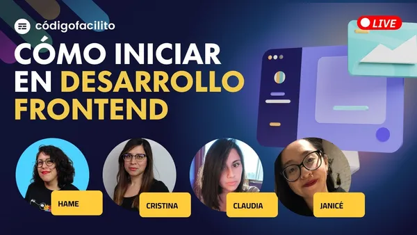 Cómo iniciar en Frontend (Panel)